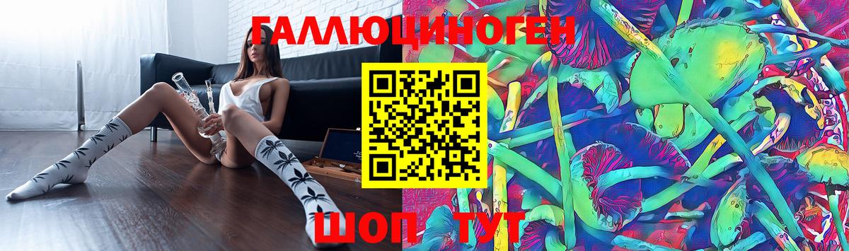 Псилоцибиновые грибы Psilocybe Гурьевск