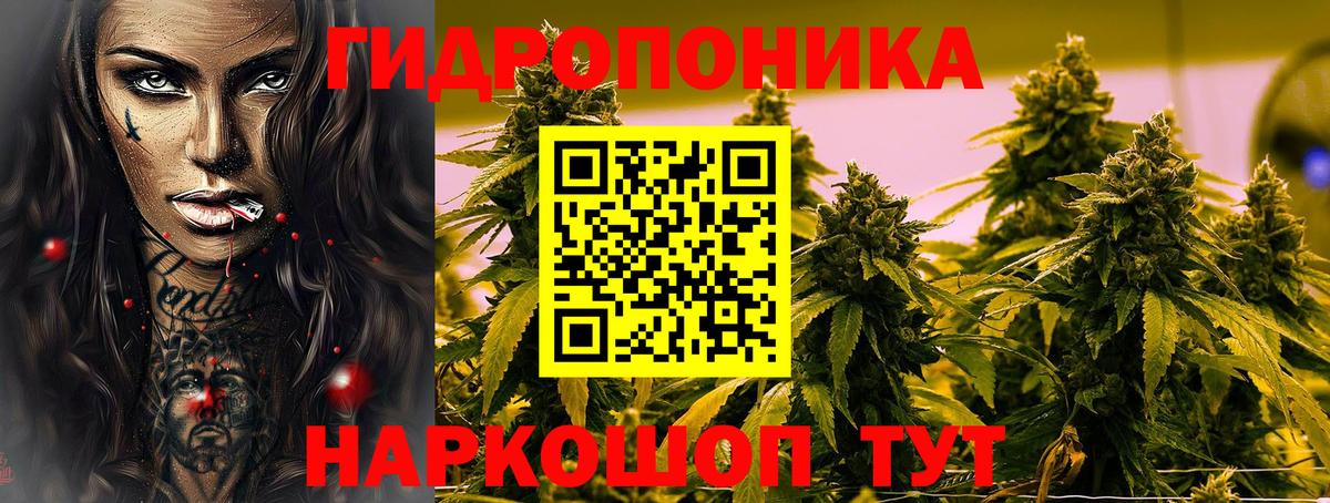 Каннабис Ganja Гурьевск